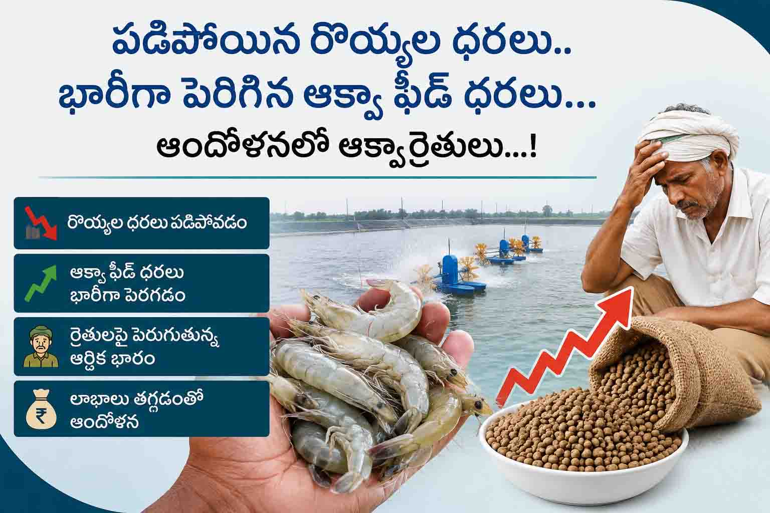 ప‌డిపోయిన రొయ్యిల ధ‌ర‌లు..భారీగా పెరిగిన ఆక్వా ఫీడ్ ధ‌ర‌లు...ఆందోళ‌న‌లో ఆక్వారైతులు...!