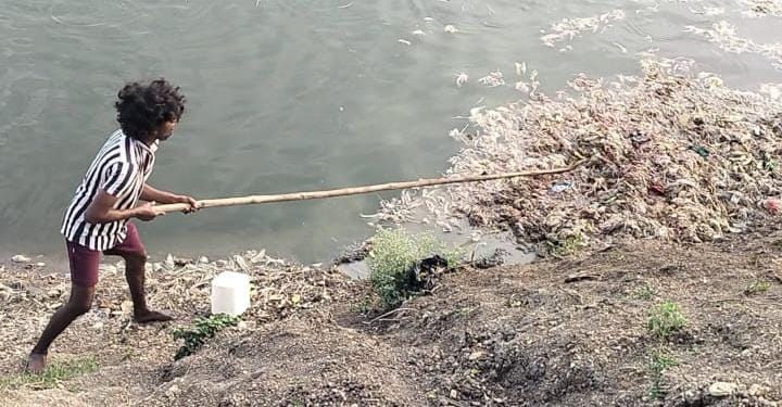 చెరువుల్లో కోళ్ల వ్యర్థాలు.. చేపల మాఫియా బరితెగింపు