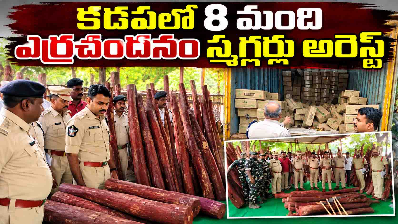 కడప జిల్లాలో 8 మంది ఎర్రచందనం స్మగ్లర్లు అరెస్ట్